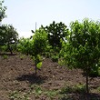 Small plot in the center of a village
