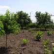 Small plot in the center of a village