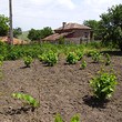 Small plot in the center of a village