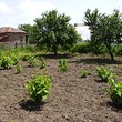 Small plot in the center of a village