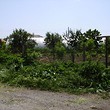 Small plot in the center of a village