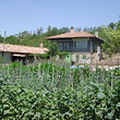 Solid House With A Vast Yard Near Shoumen