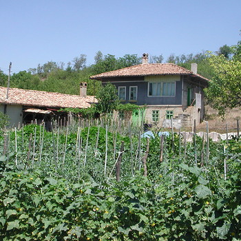 Solid House With A Vast Yard Near Shoumen