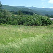 Two development lands for sale near Pernik