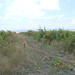 Vineyard for sale near Karnobat