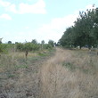 Vineyard for sale near Karnobat