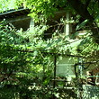 Wonderful Town Property In Varshets