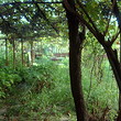 Wonderful Town Property In Varshets