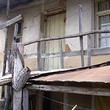 A House For Sale
