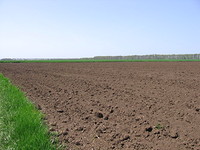 Agricultural land in Kavarna