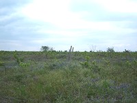 Agricultural Land Near The Sea