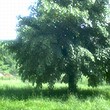 Beautiful Building Plot Close To A Future Ski Resort!!!