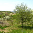 Beautiful Newly Built House In Veliko Turnovo Region!!!