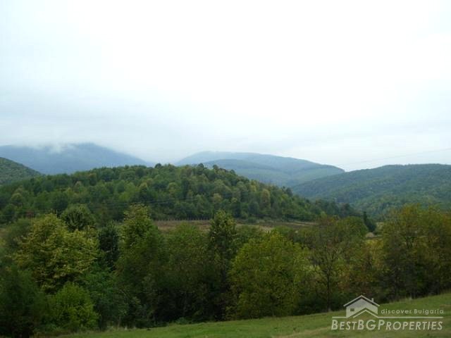 Beautiful Plot In The Mountains!!!