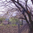 Hot offer for building plot near Sandanski