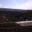 Hot offer for building plot near Sandanski