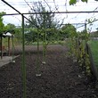Cheap Bungalow Near Strandzha Mountain
