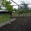 Cheap Bungalow Near Strandzha Mountain