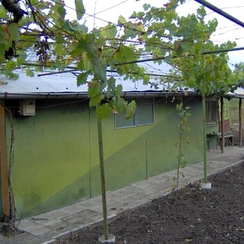 Cheap Bungalow Near Strandzha Mountain