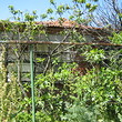 Cheap house
