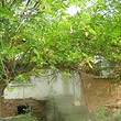 Cheap property Close To Danube