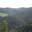 Forest for sale near Veliko Tarnovo