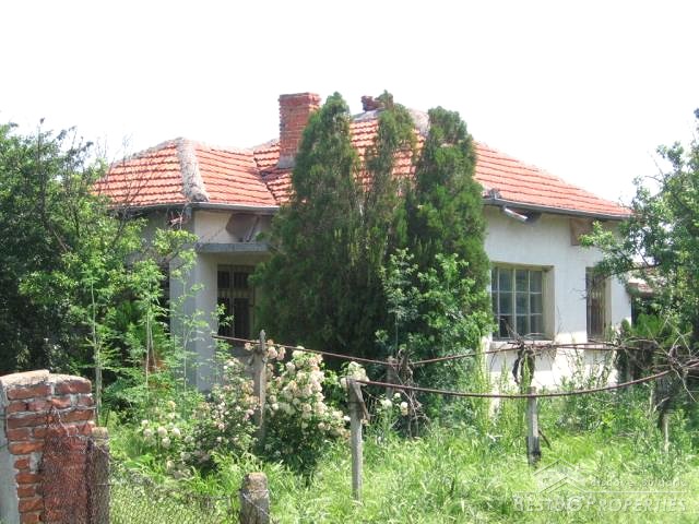 Good Investment For The Whole Family