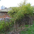House for sale near Kurdzhali
