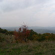 House for sale near Kurdzhali