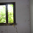 House for sale near Sandanski