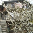 House Near Sea Resorts