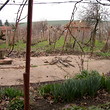House, summer house, garage and big garden on attractive price