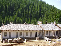 Villas in Pamporovo