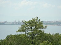 Regulated Land in Sunny Beach