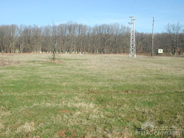 Land In A Sea Resort