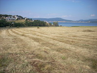 development land on the shore of Batak Dam Lake