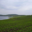 Big plot of agricultural land near lake