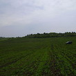 Big plot of agricultural land near lake