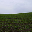 Big plot of agricultural land near lake
