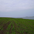 Big plot of agricultural land near lake