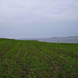 Big plot of agricultural land near lake