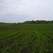 Big plot of agricultural land near lake