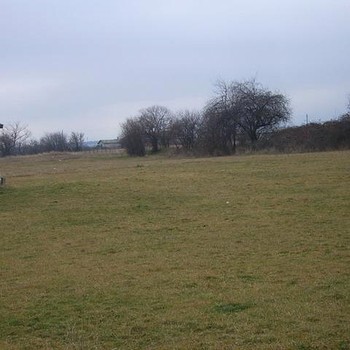 Land Near Ski Resort