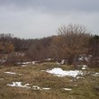 Land Near The Sea