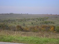 Agricultural land for sale near Bolyarovo