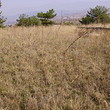 Large Plot of Land for Sale near Sandanski
