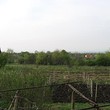 Lovely House With A Huge Garden