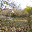 Old house with big land near Sandanski