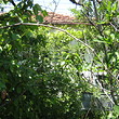 Old rural house with big garden at the end of the village