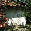 Old rural house with big garden at the end of the village